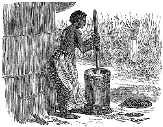 Иллюстрация к книге — В дебрях Африки [i_100.jpg]