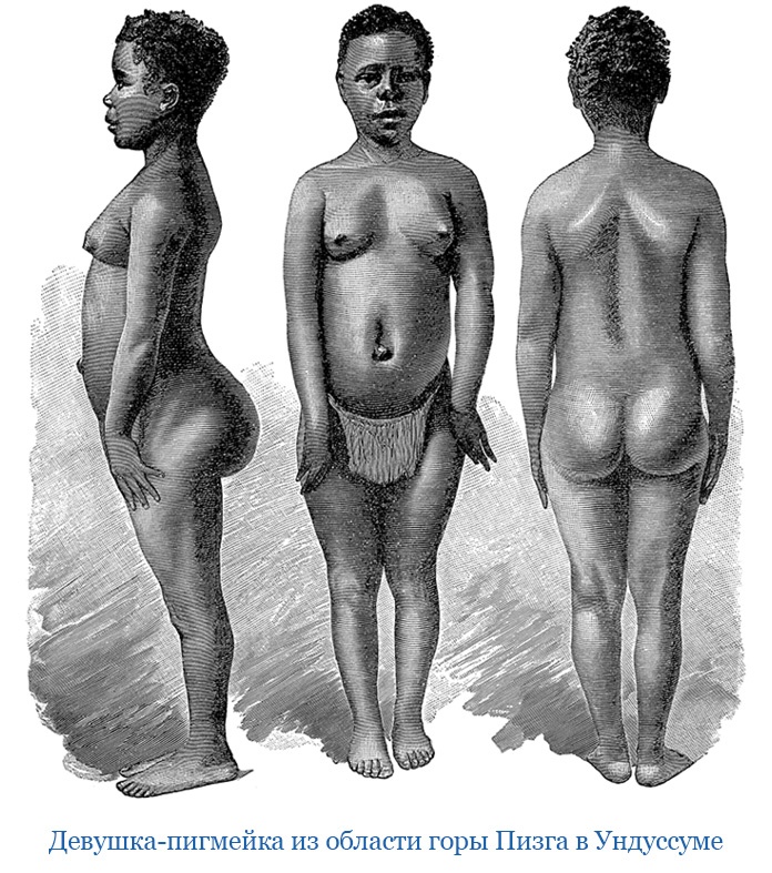 Иллюстрация к книге — В дебрях Африки [i_101.jpg]