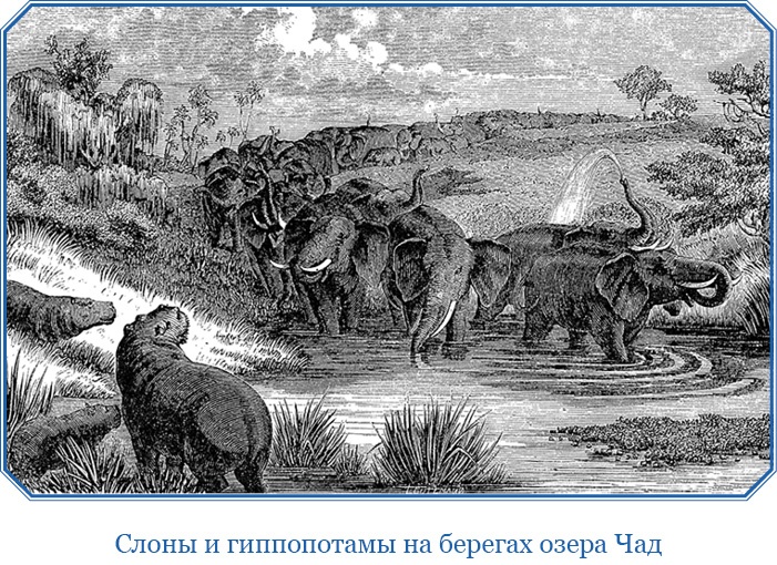 Иллюстрация к книге — В дебрях Африки [i_106.jpg]