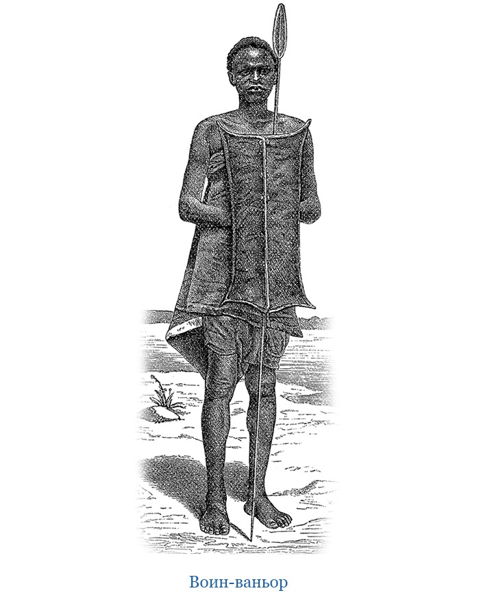 Иллюстрация к книге — В дебрях Африки [i_114.jpg]