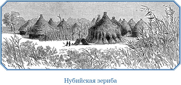 Иллюстрация к книге — В дебрях Африки [i_115.jpg]