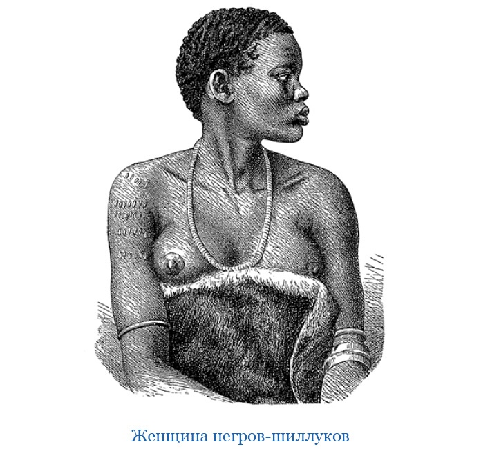 Иллюстрация к книге — В дебрях Африки [i_117.jpg]