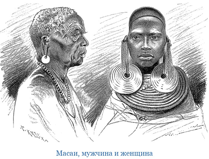 Иллюстрация к книге — В дебрях Африки [i_120.jpg]