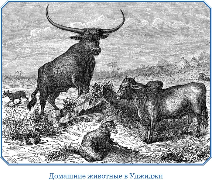 Иллюстрация к книге — В дебрях Африки [i_128.jpg]