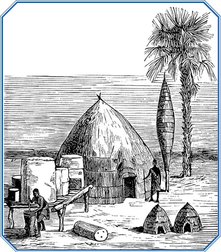 Иллюстрация к книге — В дебрях Африки [i_131.jpg]