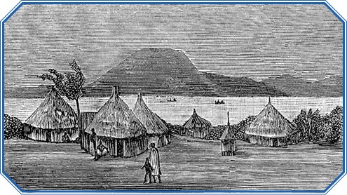 Иллюстрация к книге — В дебрях Африки [i_136.jpg]