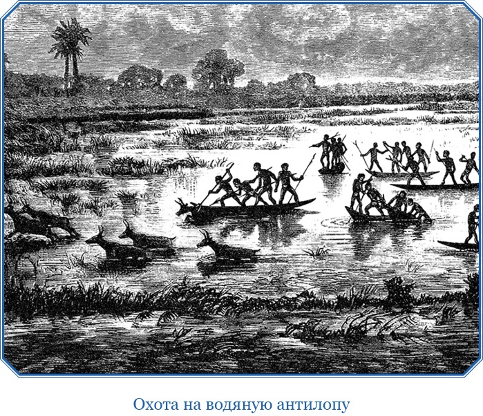 Иллюстрация к книге — В дебрях Африки [i_138.jpg]