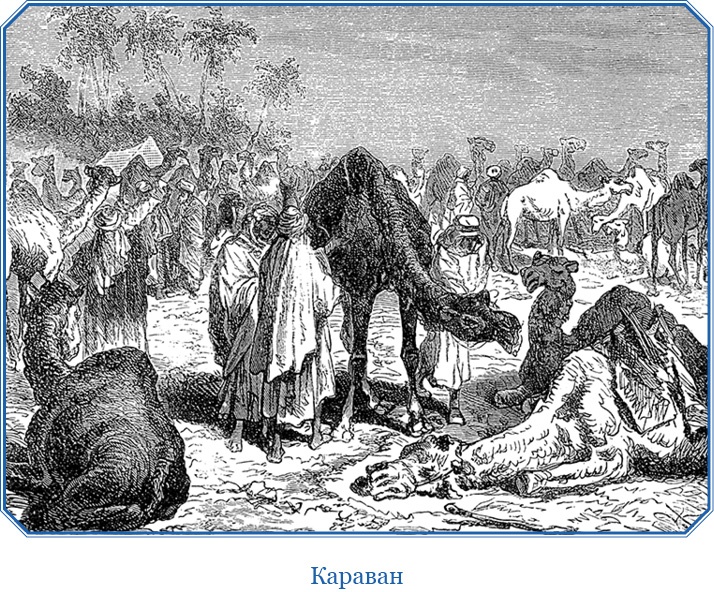 Иллюстрация к книге — В дебрях Африки [i_139.jpg]