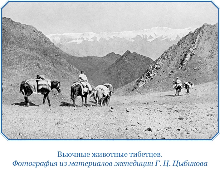 Иллюстрация к книге — Буддист-паломник у святынь Тибета [i_038.jpg]