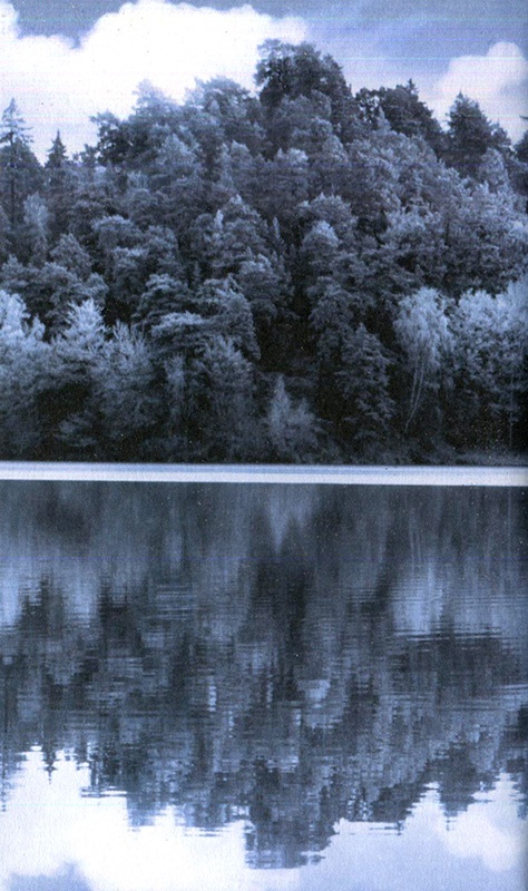 Иллюстрация к книге — Финляндия. Пора менять место жительства [i_004.jpg]