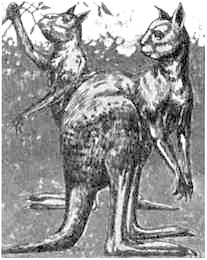 Иллюстрация к книге — Австралия - Terra Incognita. Когда звери еще были людьми [i_001.jpg]