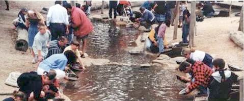 Иллюстрация к книге — Австралия - Terra Incognita. Когда звери еще были людьми [i_063.jpg]