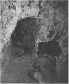 Иллюстрация к книге — Австралия - Terra Incognita. Когда звери еще были людьми [i_074.jpg]