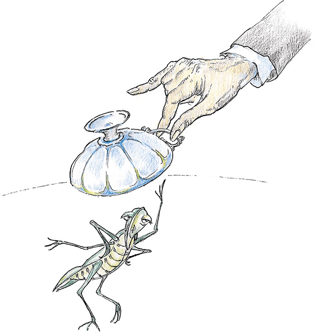 Иллюстрация к книге — Хрустальный ключ, или Жили-были мы [i_066.jpg]