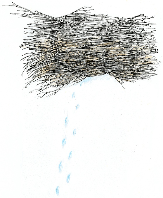 Иллюстрация к книге — Хрустальный ключ, или Жили-были мы [i_071.jpg]