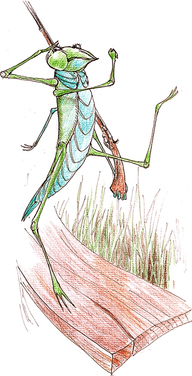 Иллюстрация к книге — Хрустальный ключ, или Жили-были мы [i_114.jpg]