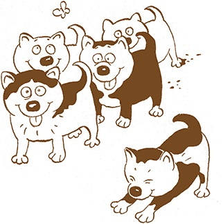 Иллюстрация к книге — Записки для моих потомков [i_002.jpg]