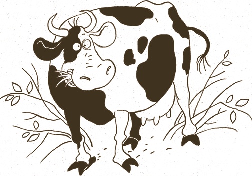 Иллюстрация к книге — Записки для моих потомков [i_010.jpg]