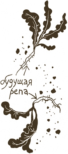 Иллюстрация к книге — Записки для моих потомков [i_022.jpg]