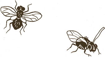 Иллюстрация к книге — Записки для моих потомков [i_026.jpg]