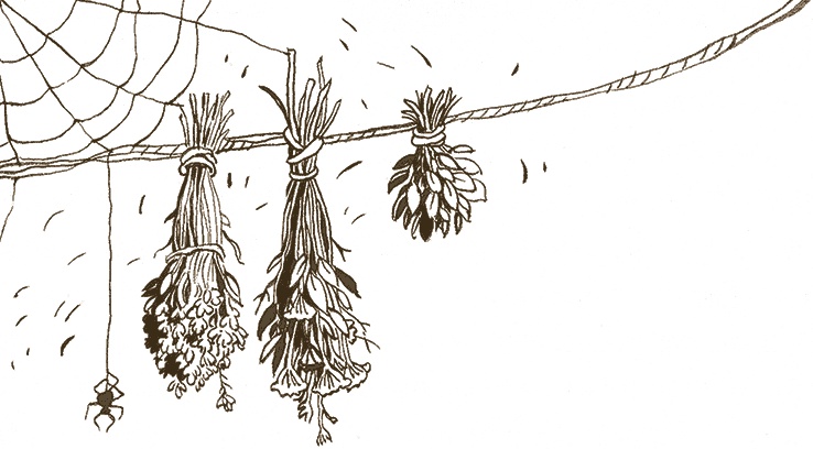 Иллюстрация к книге — Записки для моих потомков [i_031.jpg]