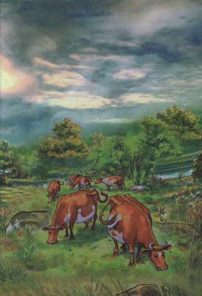 Иллюстрация к книге — Мама My и Ворон [i_014.jpg]