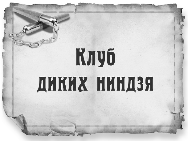 Иллюстрация к книге — Клуб диких ниндзя. Снегурочка с динамитом [i_001.jpg]