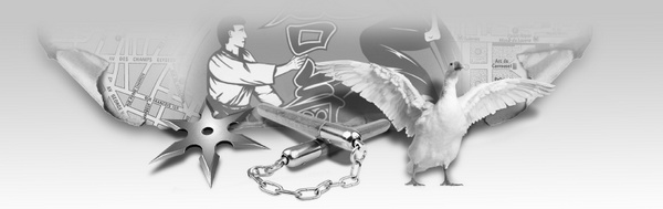 Иллюстрация к книге — Клуб диких ниндзя. Снегурочка с динамитом [i_004.jpg]