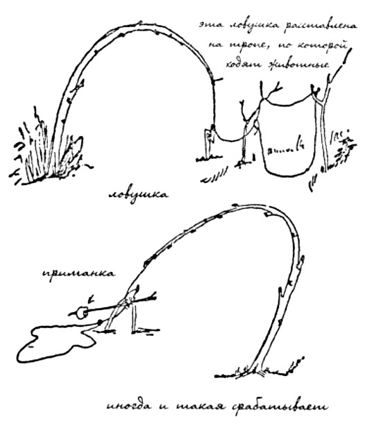 Иллюстрация к книге — Моя сторона горы [i_008.jpg]
