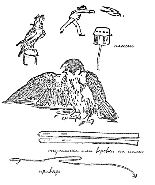 Иллюстрация к книге — Моя сторона горы [i_012.jpg]