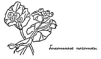 Иллюстрация к книге — Моя сторона горы [i_026.jpg]