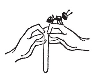 Иллюстрация к книге — Трещина во времени [i_007.jpg]