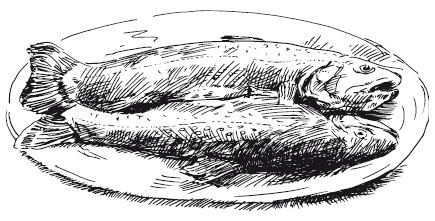 Иллюстрация к книге — Подарок молодым хозяйкам, или Средство к уменьшению расходов в домашнем хозяйстве [i_010.jpg]