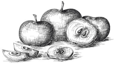 Иллюстрация к книге — Подарок молодым хозяйкам, или Средство к уменьшению расходов в домашнем хозяйстве [i_018.jpg]