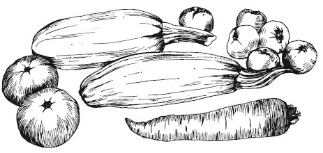 Иллюстрация к книге — Подарок молодым хозяйкам, или Средство к уменьшению расходов в домашнем хозяйстве [i_040.jpg]