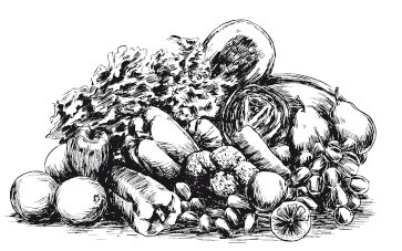 Иллюстрация к книге — Подарок молодым хозяйкам, или Средство к уменьшению расходов в домашнем хозяйстве [i_076.jpg]