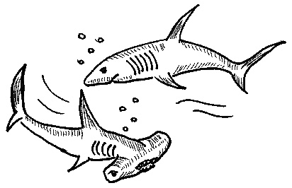 Иллюстрация к книге — Два мудреца в одном тазу... [i_015.jpg]