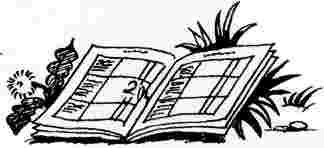 Иллюстрация к книге — У нас в 5 "Б" [i_009.jpg]