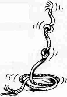 Иллюстрация к книге — У нас в 5 "Б" [i_010.jpg]