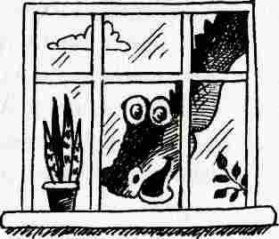 Иллюстрация к книге — У нас в 5 "Б" [i_014.jpg]