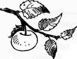 Иллюстрация к книге — У нас в 5 "Б" [i_020.jpg]