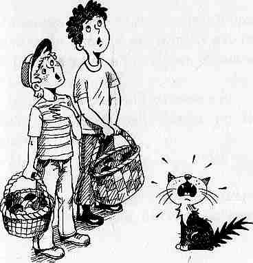 Иллюстрация к книге — У нас в 5 "Б" [i_029.jpg]