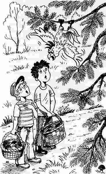 Иллюстрация к книге — У нас в 5 "Б" [i_039.jpg]