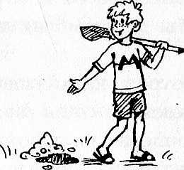 Иллюстрация к книге — У нас в 5 "Б" [i_044.jpg]