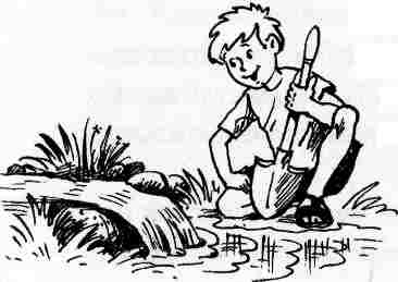 Иллюстрация к книге — У нас в 5 "Б" [i_049.jpg]