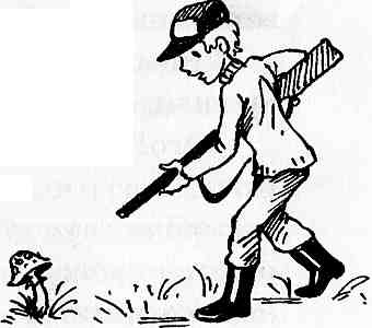 Иллюстрация к книге — У нас в 5 "Б" [i_053.jpg]