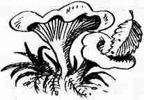 Иллюстрация к книге — У нас в 5 "Б" [i_055.jpg]