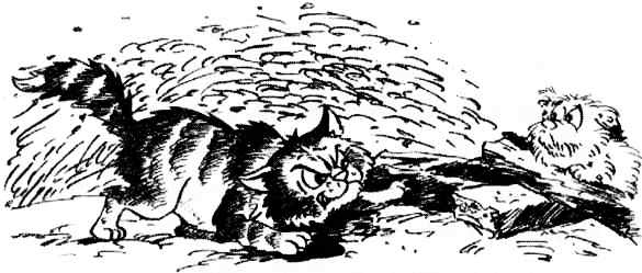 Иллюстрация к книге — Подружки [i_029.jpg]