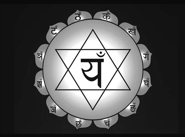 Иллюстрация к книге — Секреты восточной медицины. Чудо исцеления своими руками [i_017.jpg]