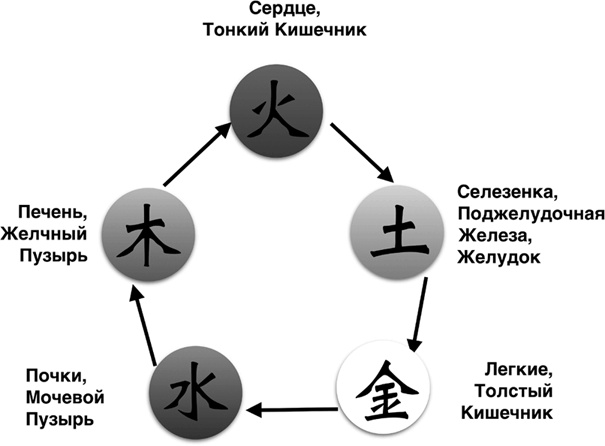 Иллюстрация к книге — Секреты восточной медицины. Чудо исцеления своими руками [i_062.jpg]